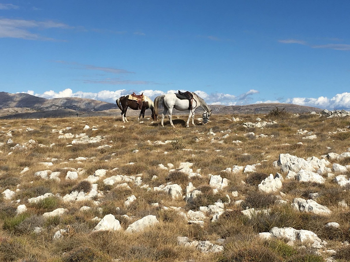 Digital Detox au Ranch El Bronco